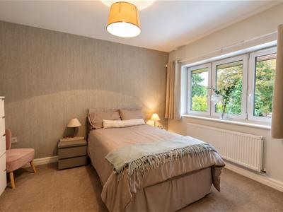 Picture 33